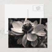 Sepia Anemone Floral Photography Briefkaart (Voorkant / Achterkant)