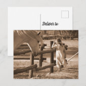 Sepia Black and White Horse and Child Briefkaart (Voorkant / Achterkant)