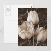 Sepia Black Background florale Briefkaart (Voorkant / Achterkant)