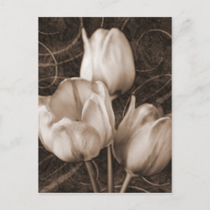 Sepia Black Background florale Briefkaart