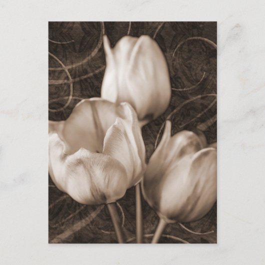 Sepia Black Background florale Briefkaart (Voorkant)