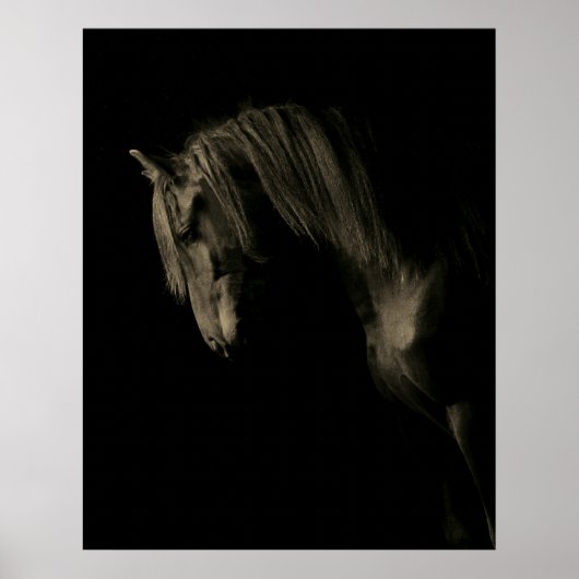 Sepia Black Horse Poster (Voorkant)