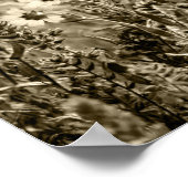 Sepia Botany Poster (Hoek)