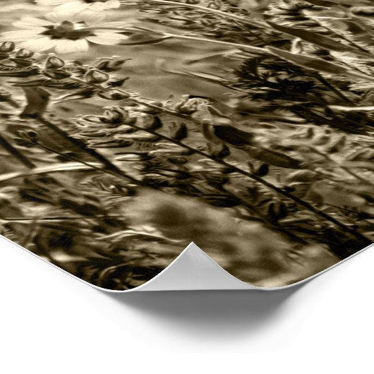 Sepia Botany Poster (Hoek)