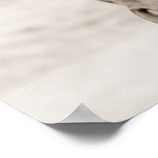 Sepia Brown Horse Poster (Hoek)