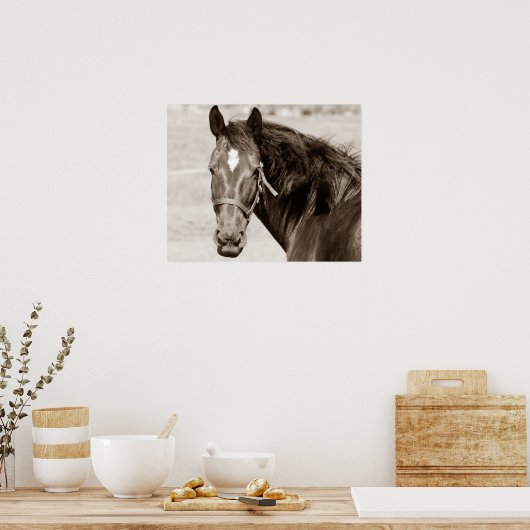 Sepia Brown Horse Poster (Keuken)