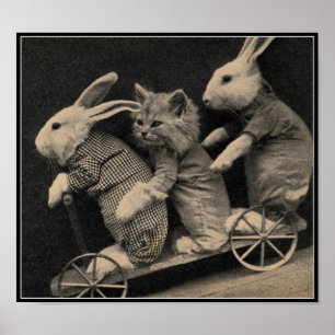  Sepia Bunnies & Kitten Easter Art afdrukken Poster