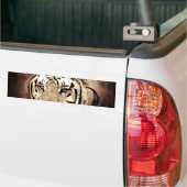 Sepia Close-up Tijgerogen Bumpersticker (Op Truck)