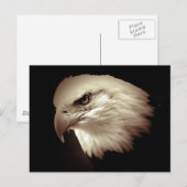 Sepia Color Bald Eagle Briefkaart (Voorkant / Achterkant)