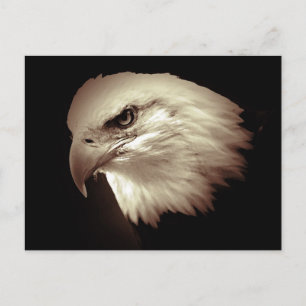 Sepia Color Bald Eagle Briefkaart