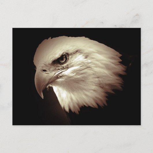 Sepia Color Bald Eagle Briefkaart (Voorkant)