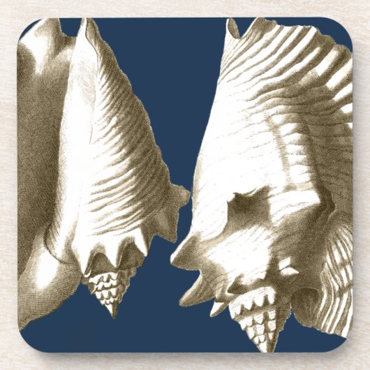 Sepia Conch Seashells Bier Onderzetter (Voorkant)