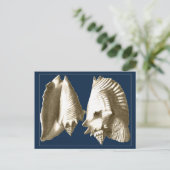 Sepia Conch Seashells Briefkaart (Staand voorkant)