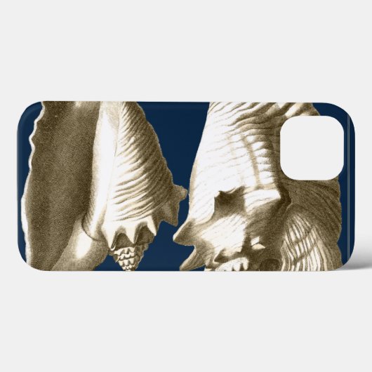 Sepia Conch Seashells Case-Mate iPhone Case (Achterkant (horizontaal))