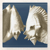 Sepia Conch Seashells Glazen Onderzetter (Voorkant)