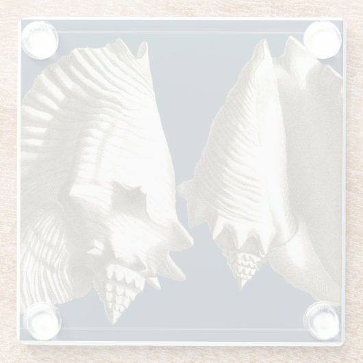 Sepia Conch Seashells Glazen Onderzetter (Achterkant)