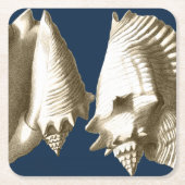 Sepia Conch Seashells Kartonnen Onderzetters (Voorkant)