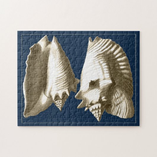 Sepia Conch Seashells Legpuzzel (Horizontaal)