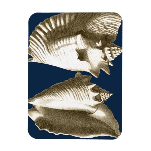 Sepia Conch Seashells Magneet (Verticaal)
