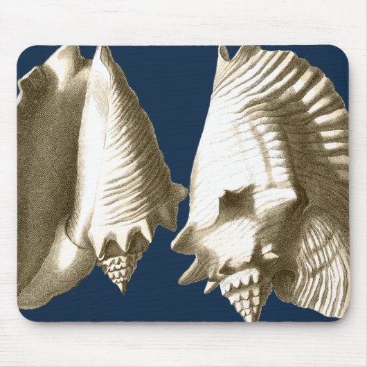 Sepia Conch Seashells Muismat (Voorkant)