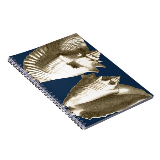 Sepia Conch Seashells Notitieboek (Rechterzijde)