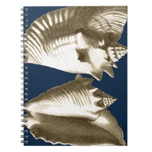 Sepia Conch Seashells Notitieboek