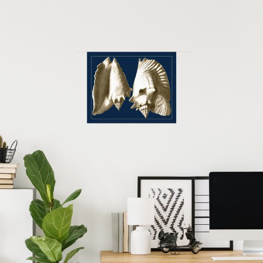 Sepia Conch Seashells Poster (Thuiskantoor)