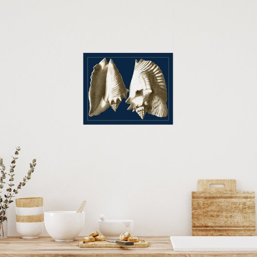 Sepia Conch Seashells Poster (Keuken)