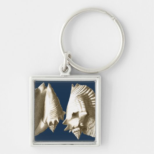 Sepia Conch Seashells Sleutelhanger (Voorkant)