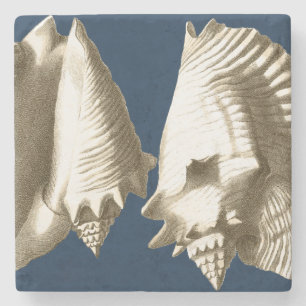 Sepia Conch Seashells Stenen Onderzetter