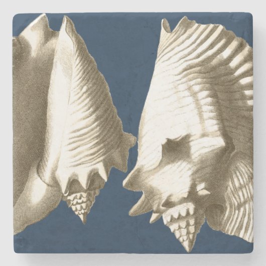 Sepia Conch Seashells Stenen Onderzetter (Voorkant)