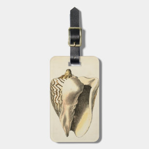 Sepia Conch Shell Bagagelabel