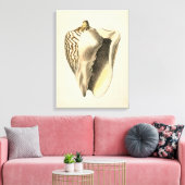 Sepia Conch Shell Canvas Afdruk (Insitu (Woonkamer))