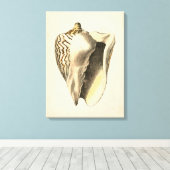 Sepia Conch Shell Canvas Afdruk (Insitu (Houten vloer))