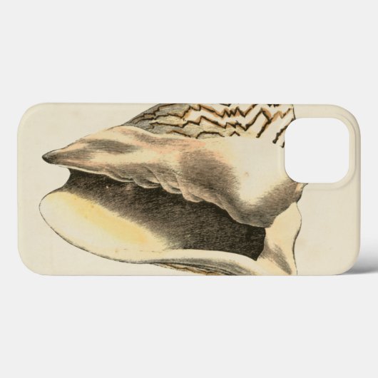  Sepia Conch Shell Case-Mate iPhone Case (Achterkant (horizontaal))