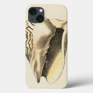  Sepia Conch Shell iPhone 13 Hoesje