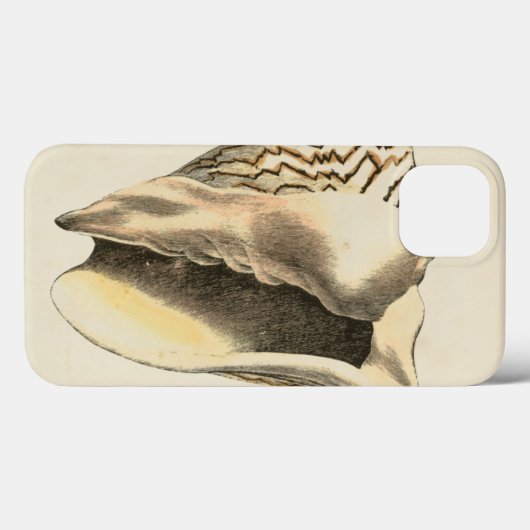  Sepia Conch Shell Case-Mate iPhone Case (Achterkant (horizontaal))