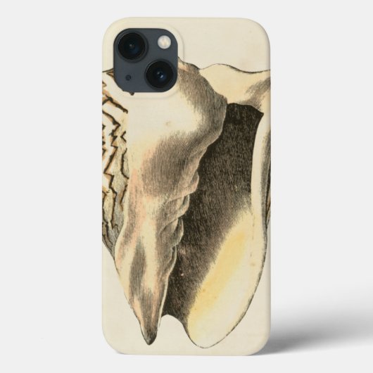  Sepia Conch Shell Case-Mate iPhone Case (Achterkant)