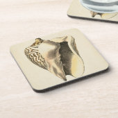  Sepia Conch Shell Drankjes Onderzetter (Linkerzijde)