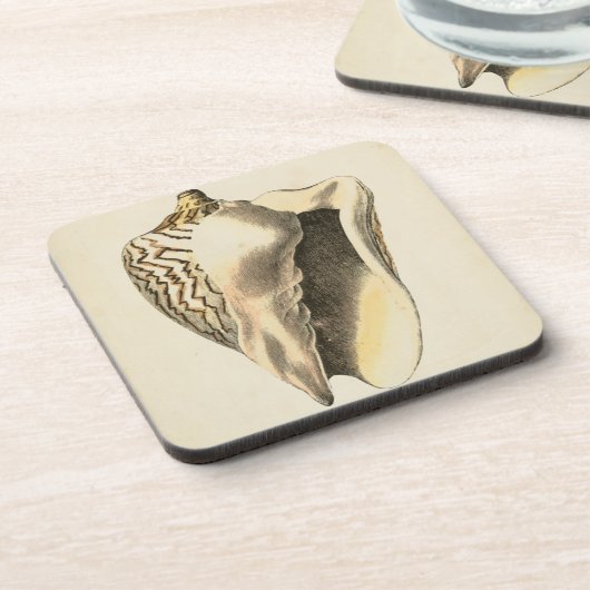 Sepia Conch Shell Drankjes Onderzetter (Linkerzijde)