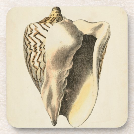  Sepia Conch Shell Drankjes Onderzetter (Voorkant)