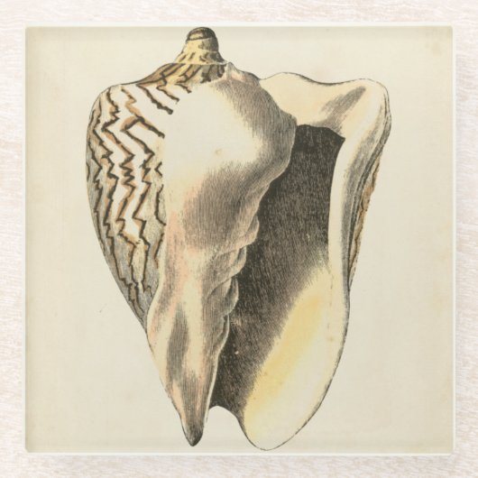  Sepia Conch Shell Glazen Onderzetter (Voorkant)