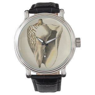 Sepia Conch Shell Horloge