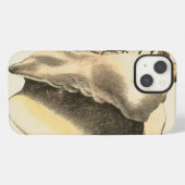 Sepia Conch Shell iPhone Hoesje (Achterkant horizontaal)