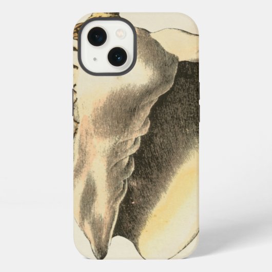 Sepia Conch Shell iPhone Hoesje (Achterkant)
