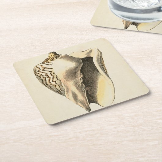 Sepia Conch Shell Kartonnen Onderzetters (Schuin)