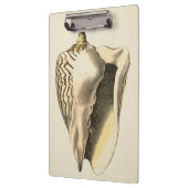 Sepia Conch Shell Klembord (Links)