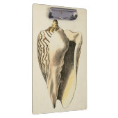 Sepia Conch Shell Klembord (Rechts)