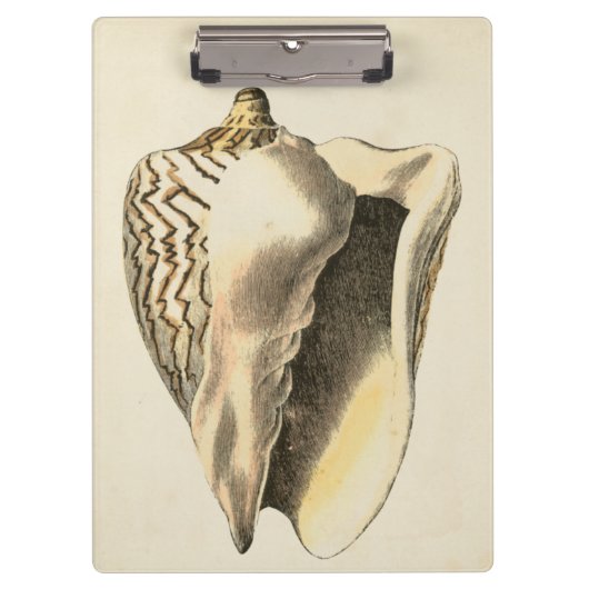 Sepia Conch Shell Klembord (Voorkant)
