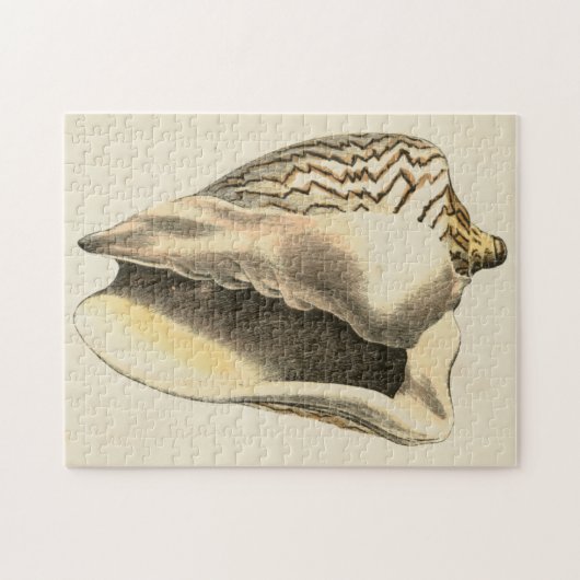  Sepia Conch Shell Legpuzzel (Horizontaal)